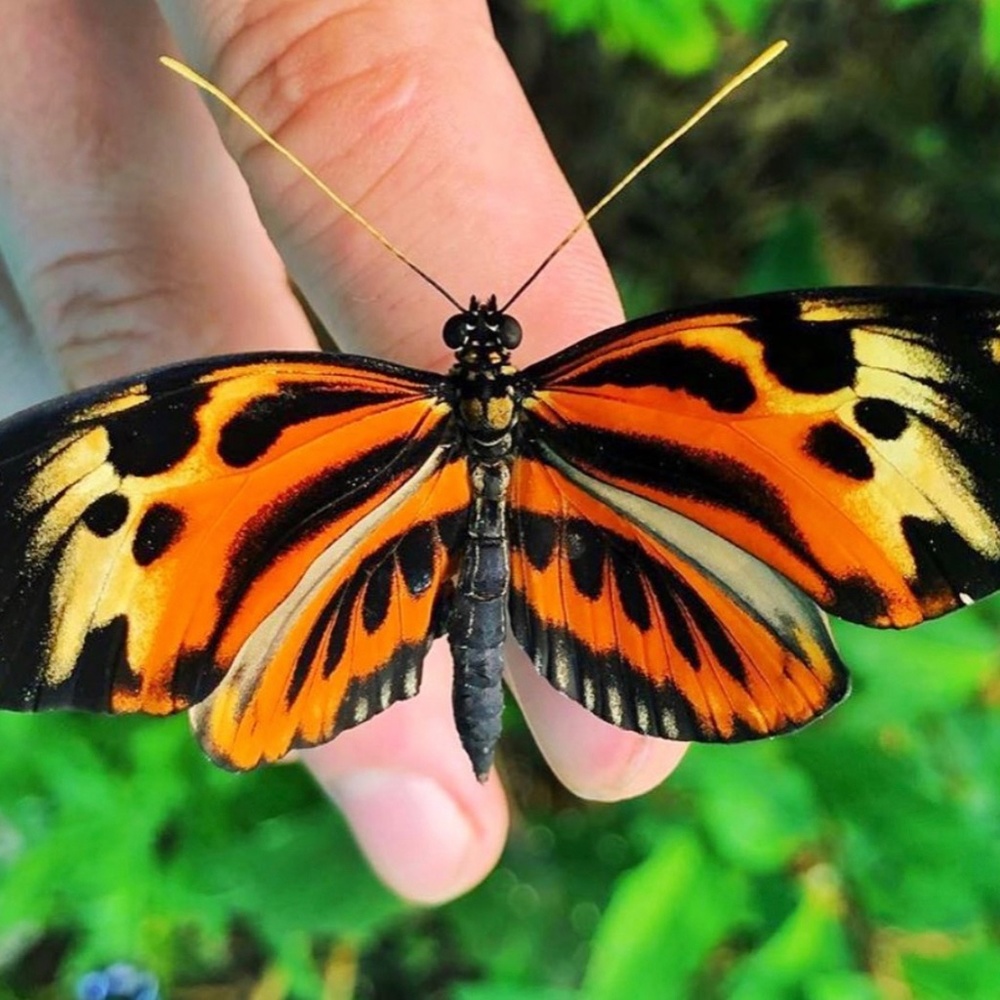 Meet your Posher, JR